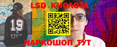 сатива Гатчина