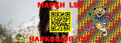 сатива Гатчина