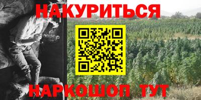 сатива Гатчина