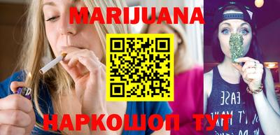 сатива Гатчина