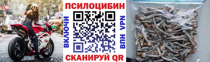 цена наркотик Апатиты shop телеграм Псилоцибиновые грибы мухоморы