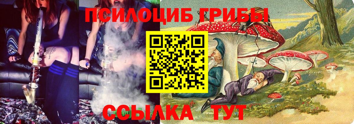 Апатиты  Псилоцибиновые грибы MAGIC MUSHROOMS  Вход с VPN 