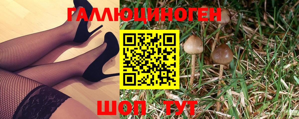 Галлюциногенные грибы Cubensis Апатиты