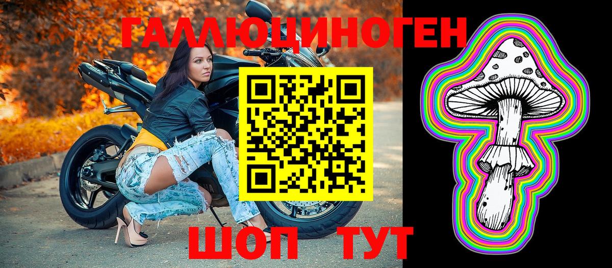 Галлюциногенные грибы Psilocybe  Апатиты  Галлюциногенные грибы мухоморы 