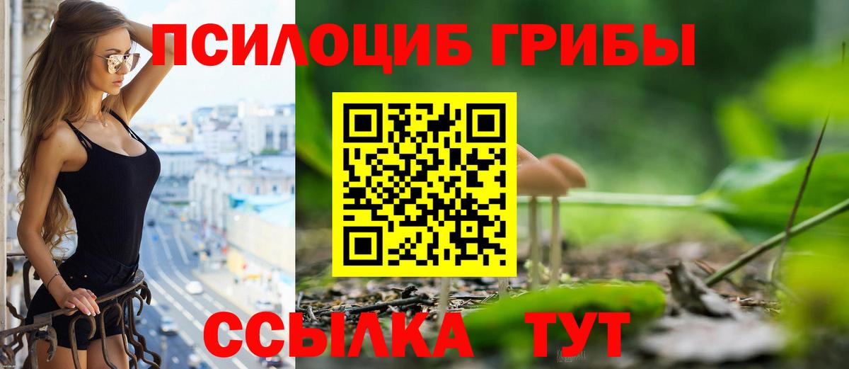 Галлюциногенные грибы прущие грибы  Псилоцибиновые грибы Cubensis  Апатиты  Вход с VPN 